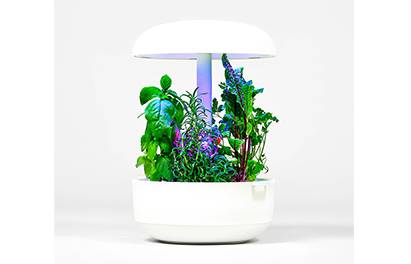 Coltivazione idroponica da banco smart automatizzata per 6 piante